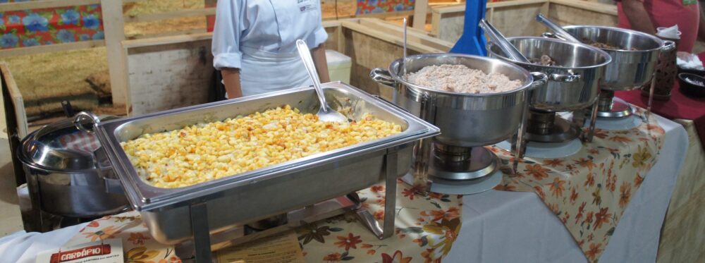 Festa do Boi reúne opções para todos os gostos