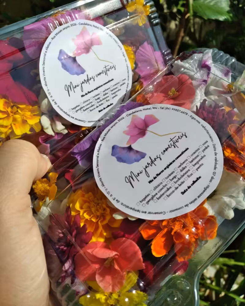 Flores comestiveis embaladas para entrega foto pollyanne azevedo