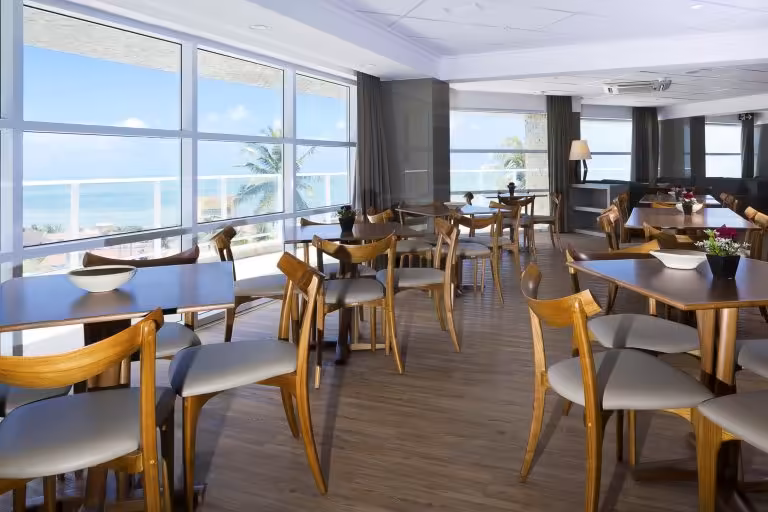 Yurugolden tulip natal ponta negra