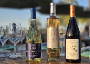 Brasília: Sallva lança nova carta de vinhos com assinatura da jornalista e sommelière Adriana Nasser