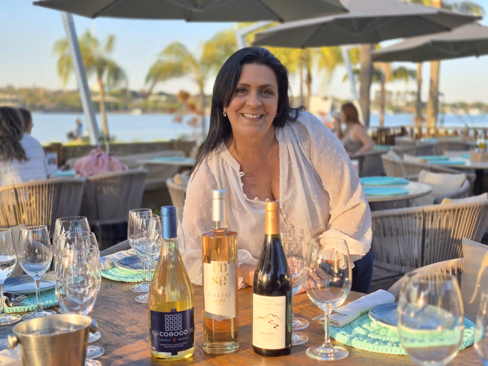 Brasilia sallva lanca nova carta de vinhos com assinatura da jornalista e sommeliere adriana nasser
