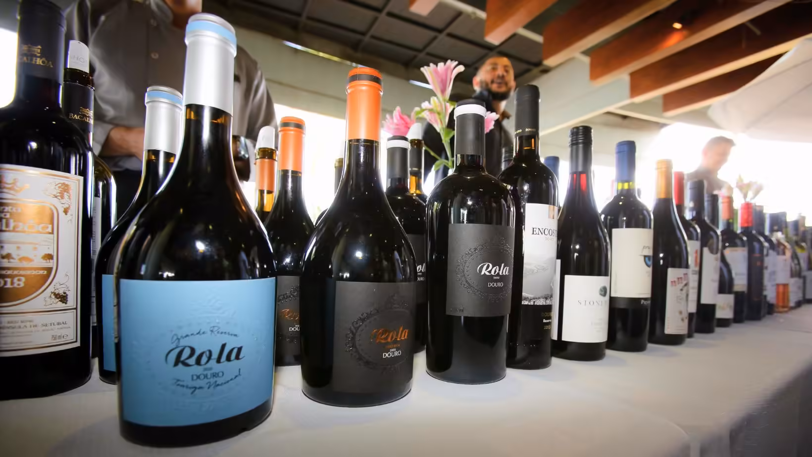 Foto - Deguste! Vinhos S.A (3)