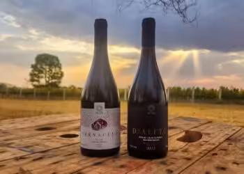 Vinicola brasiliense oma sena conquista duas medalhas no the winehunter award 2025