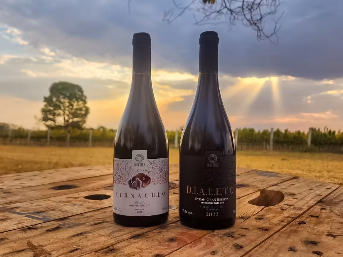 Vinicola brasiliense oma sena conquista duas medalhas no the winehunter award 2025