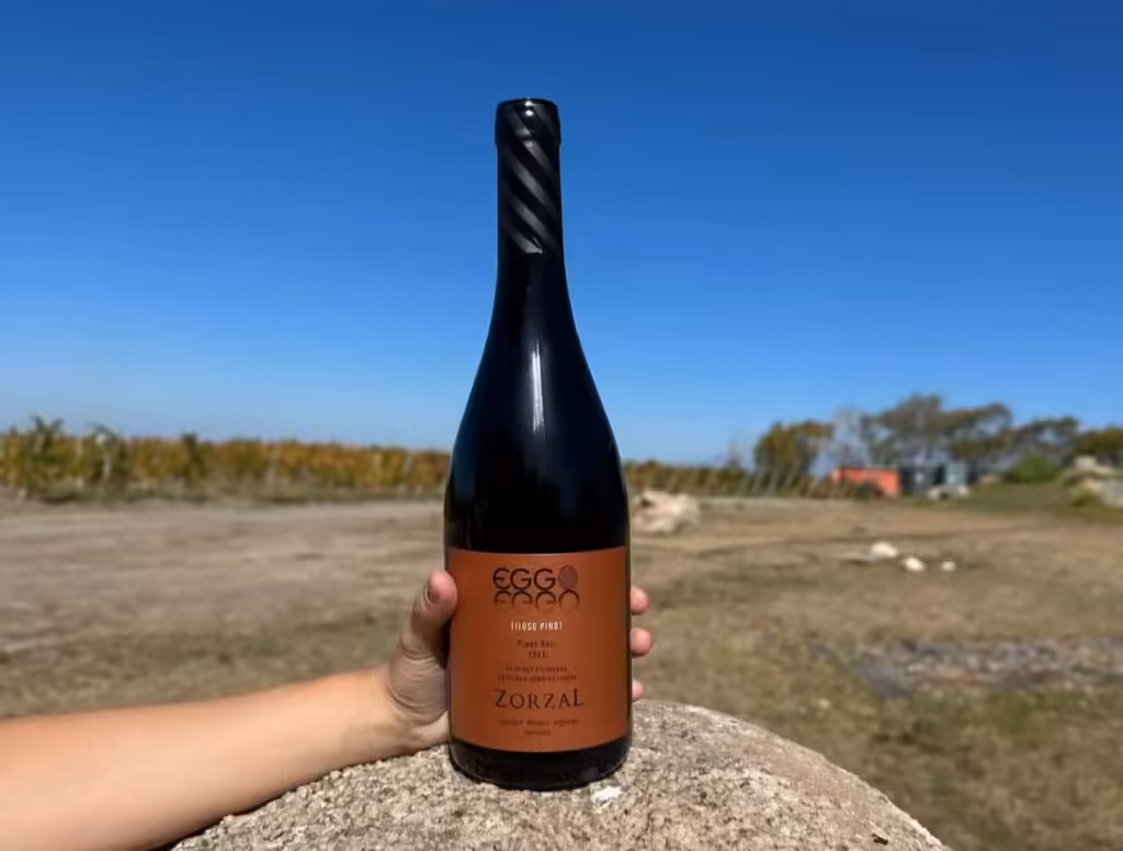 Pinot noir zorzal